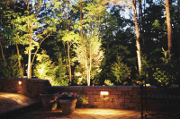 1266602022_canuso_night1