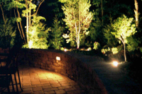 1266602029_canuso_night4