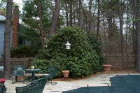 1266437731_law-back8-before