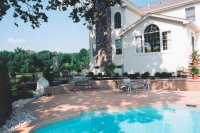 1266599339_dennigan_back1