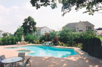 1266599346_dennigan_back3