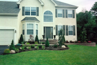 1266601698_coluzzi1