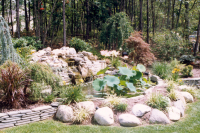 1266600364_scan0020