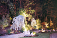 1266600368_scan0040
