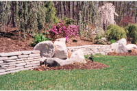1266600371_scan0041