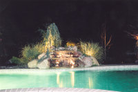 1266602715_rosa_night1